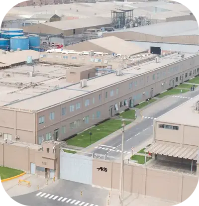 Pantera Azufre Del Perú