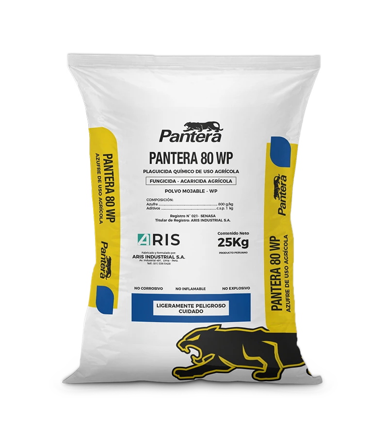 Pantera 80 Wp